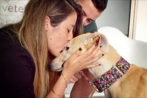 THIS DOG WAS NEVER KISSED IN HER ENTIRE LIFE... UNTIL TODAY
