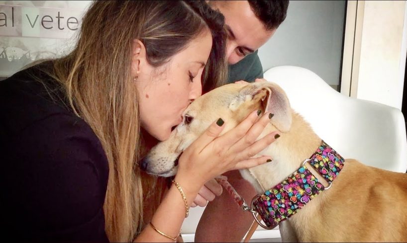 THIS DOG WAS NEVER KISSED IN HER ENTIRE LIFE... UNTIL TODAY