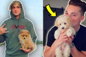 TOP 10 YOUTUBERS WITH THE MOST CUTEST PETS! (Logan Paul, RomanAtwood, PewDiePie)