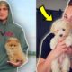 TOP 10 YOUTUBERS WITH THE MOST CUTEST PETS! (Logan Paul, RomanAtwood, PewDiePie)
