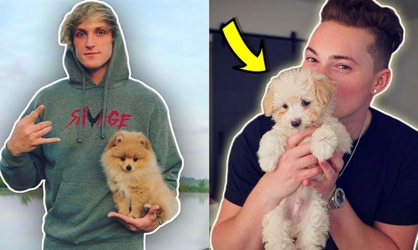 TOP 10 YOUTUBERS WITH THE MOST CUTEST PETS! (Logan Paul, RomanAtwood, PewDiePie)