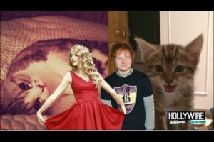 Taylor Swift Vs. Ed Sheeran: Cutest Kitten Showdown!