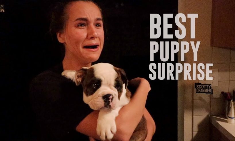 The Cutest Puppy Surprise Ever!