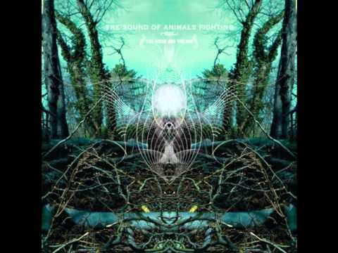 The Sound of Animals Fighting - The Ocean and the Sun (Full Album 2008)