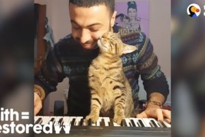 This Guy LOVES Playing Piano For His Rescue Cats  | The Dodo Faith=Restored