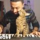 This Guy LOVES Playing Piano For His Rescue Cats  | The Dodo Faith=Restored