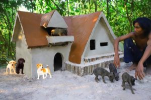 Unbelievable! Build Beautiful Resort House For Cute Puppies In The Deep Jungle