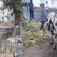 Vadodara city police comes to the rescue of animals during lockdown