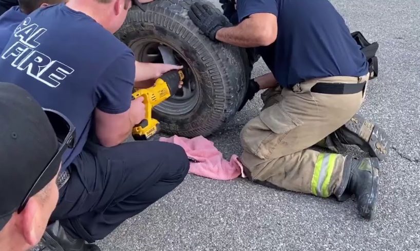 Wheelie Pup Gets Rescued A Riverside County Animal Services Video Short January 22 2020