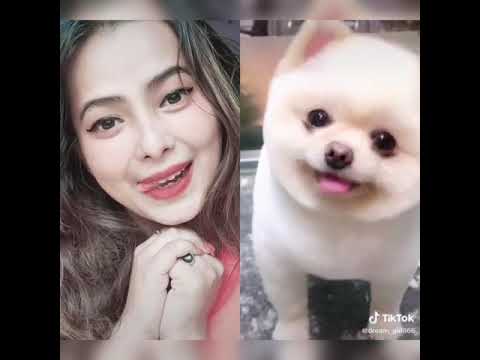 #cute dog complications# so cute puppies