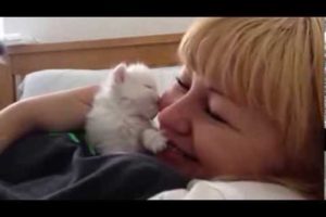 cute kitten kisses my face :)