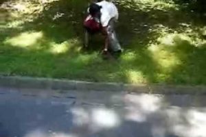 hood fight