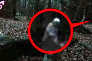 Scary Ghost Encounters Captured on Film