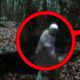 Scary Ghost Encounters Captured on Film