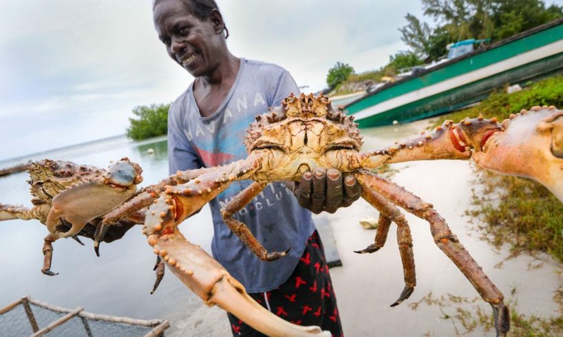 Huge Caribbean KING CRAB ? RUNDOWN!! Jamaican Seafood Tour - Jamaica! ??