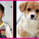 Reaction on Funny puppies and cute puppies videos!! Little Shauryaa