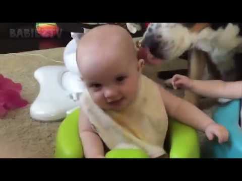 CUTE and FUNNY BABIES and ANIMALS PLAYING!!!