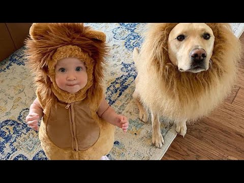 Cute Animals Playing With Kids | Cute Pets Doing Funny Things To Make Us Laugh