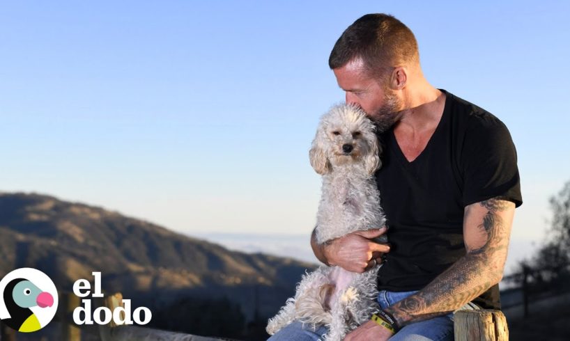 Esta cachorrita irradia alegría donde quiera que vaya | El Dodo