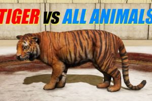 Far Cry 4 - Animal Fight: Tiger vs All Animals