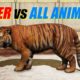 Far Cry 4 - Animal Fight: Tiger vs All Animals