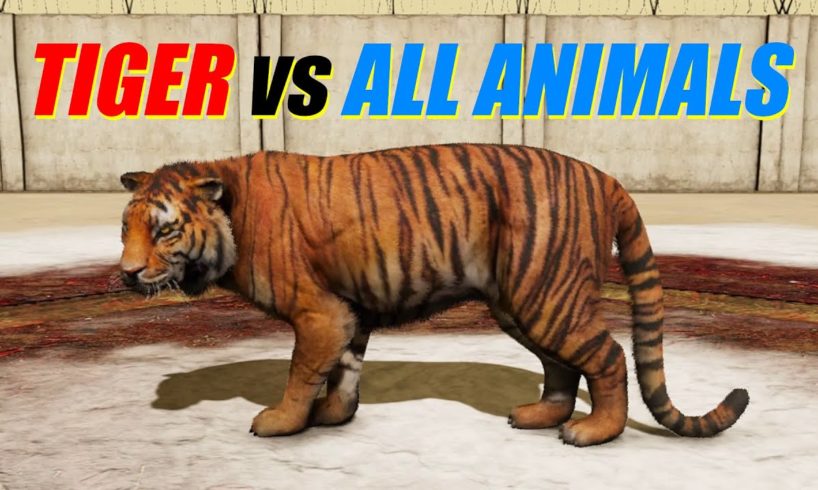 Far Cry 4 - Animal Fight: Tiger vs All Animals
