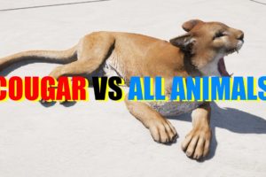 Far Cry 5 Arcade - Animal Fight: Cougar vs All Animals