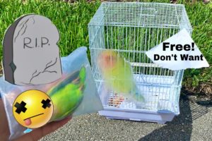 RESCUED ! ABANDONED ANIMAL In PETSMART PARKING LOT! WHAT IS IT ?!
