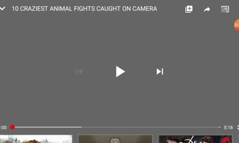 Reacting to 10 crazy animal fights caught on camera?????