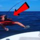 TRY NOT TO LAUGH - Best Funny Fails of the Week!