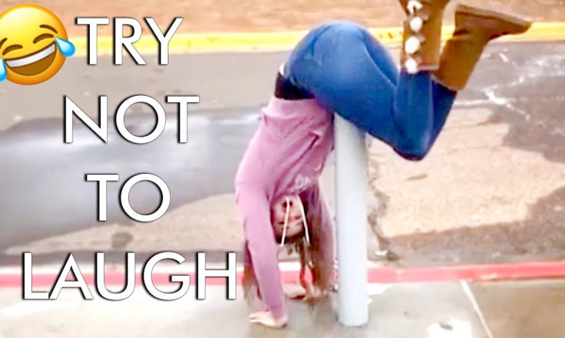[2 Hour] Try Not to Laugh Challenge! Fun Fails | Funniest Videos | AFV