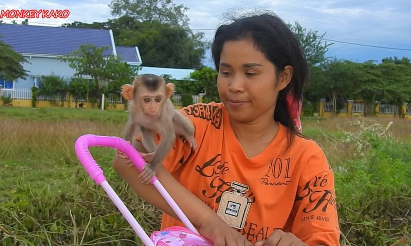 Amazing Animals, Cute Baby Luna And Tiny Nina Playing Stroller