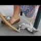 Cute kitten playing with my skirt | Cutest kitten video ever