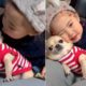 Cutest Puppies and Babies Playing Together Compilation 2020 ?