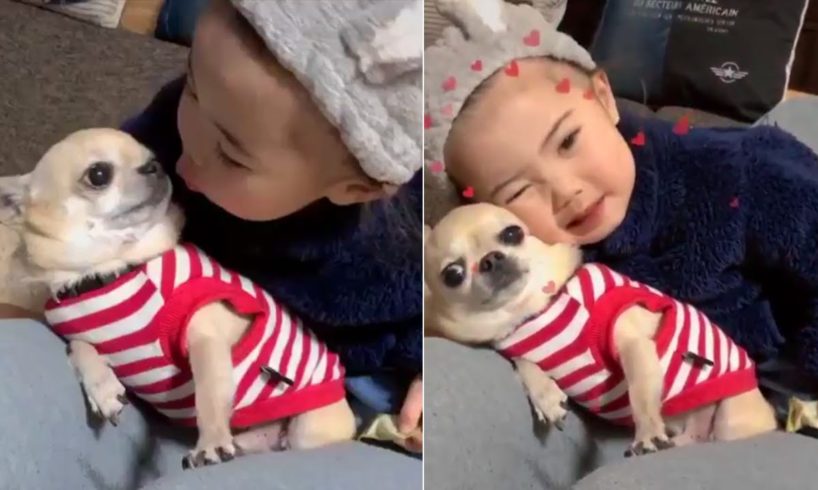 Cutest Puppies and Babies Playing Together Compilation 2020 ?