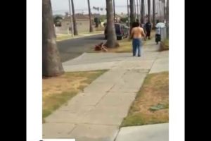 Dude Get Knocked Out!! Los Angeles Hood Fights - Music By. Bro Burch - Issue