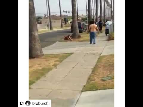 Dude Get Knocked Out!! Los Angeles Hood Fights - Music By. Bro Burch - Issue