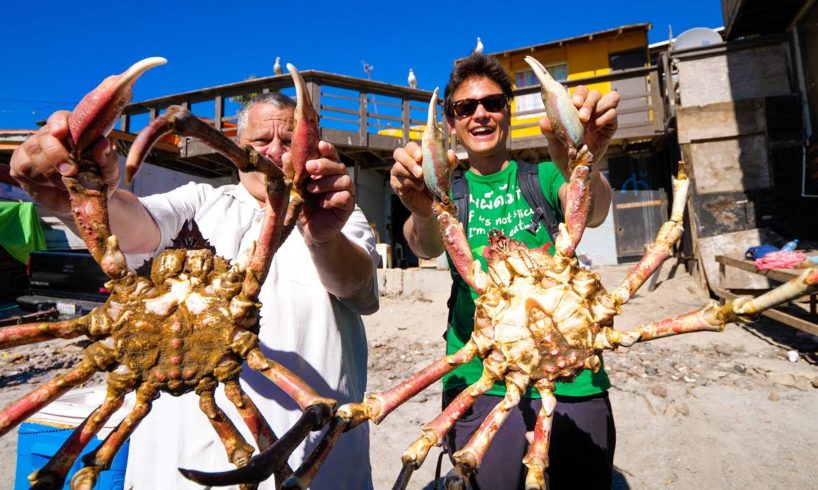 Huge MARTIAN Crab!! ??? MEXICAN FOOD in Popotla Fishing Village, Mexico!
