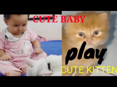 Kitten and cute baby play,cute kitten cute baby