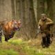 Most angry and wild animal attacks. my favorite wild animal attacks. #trampling #elephant attack