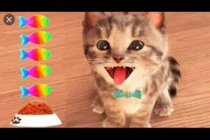 My Favorite Cat Little Kitten Preschool -  Play Fun Cute Kitten Adventure Care Games For Kids #165