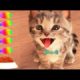 My Favorite Cat Little Kitten Preschool -  Play Fun Cute Kitten Adventure Care Games For Kids #165