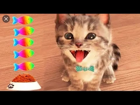 My Favorite Cat Little Kitten Preschool -  Play Fun Cute Kitten Adventure Care Games For Kids #165