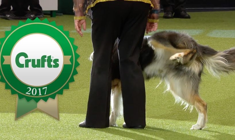 Oh Dear! Crufts 2017 Fails and Bloopers!