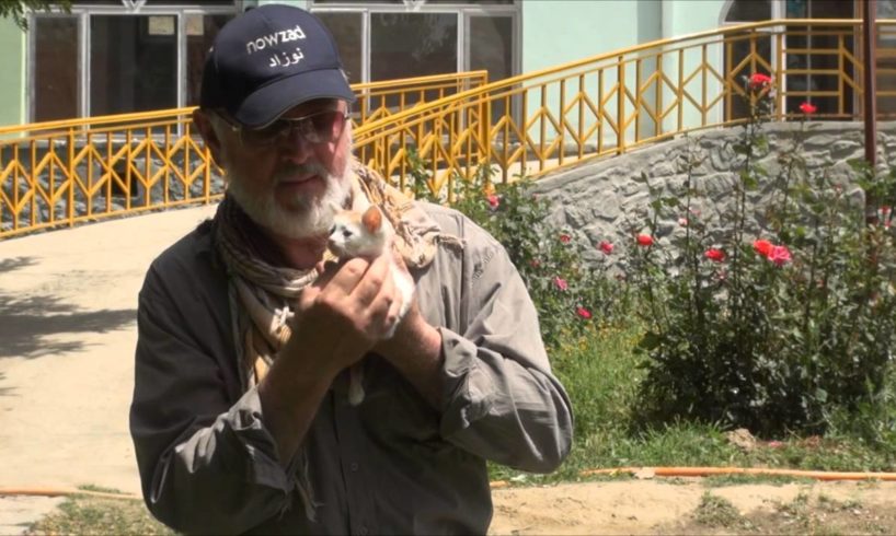 Peter Egan meets Kabul's cutest kitten during his recent Wetnose trip to Nowzad