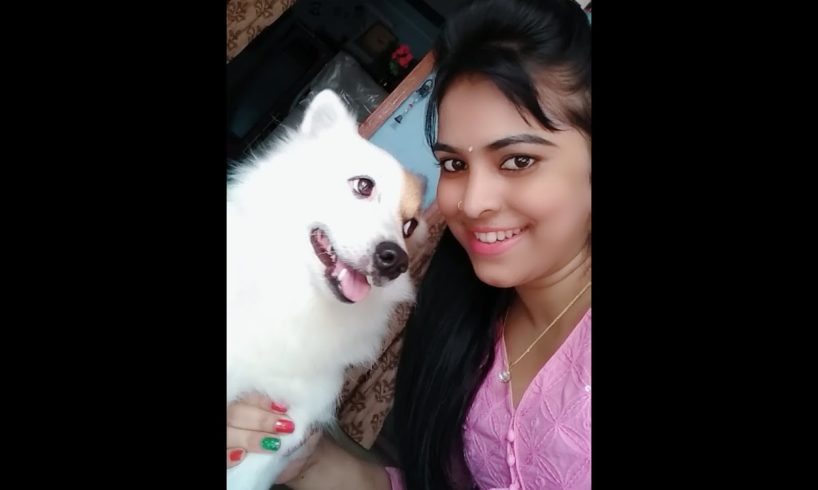 Player chiku ***** Animals ❤️❤️❤️❤️****