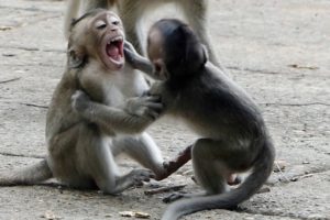 Tiny baby Santino happy playing with baby Amina after being close