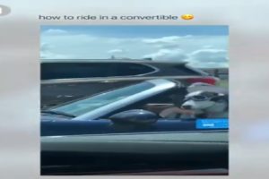 #funny #viral try not to laugh-Funny Viral Videos| Best of the Week | latest funny viral videos 2020