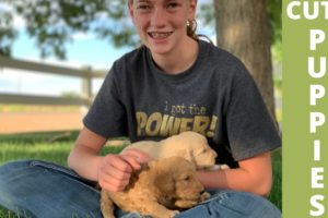 4 WHEELER RIDE | CUTEST PUPPIES EVER