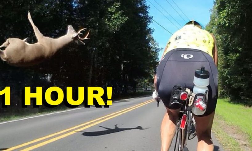 60 MINUTES OF CLOSE CALLS Compilation Of Near Misses & Near Death Experiences of 2010-2020 Decade!